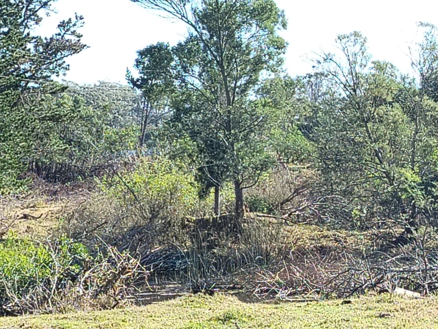 4 Bedroom Property for Sale in Port Elizabeth Rural Eastern Cape
